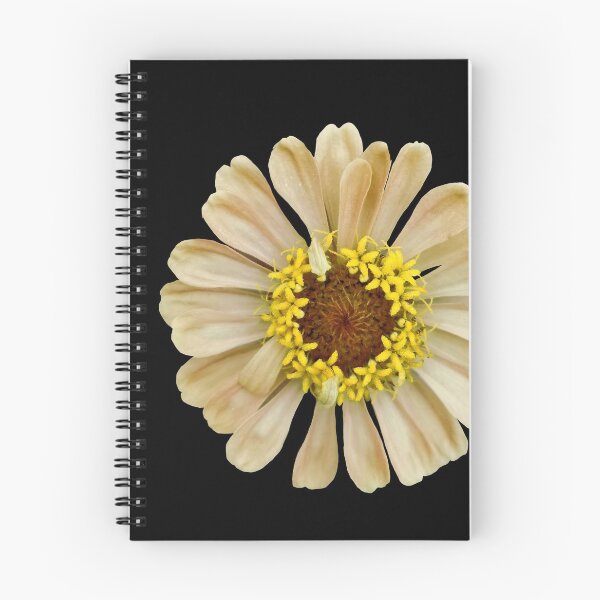 Item preview, Field Guide to Zinnias, No. 11, Antique Cream Zinnia Flower designed and sold by Kristi Duggins.