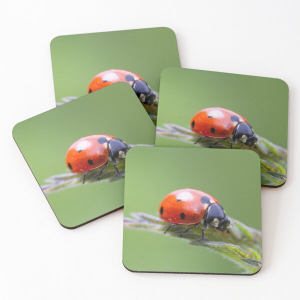 Item preview, Ladybug on nettle leaf designed and sold by BVNaturePhotos.