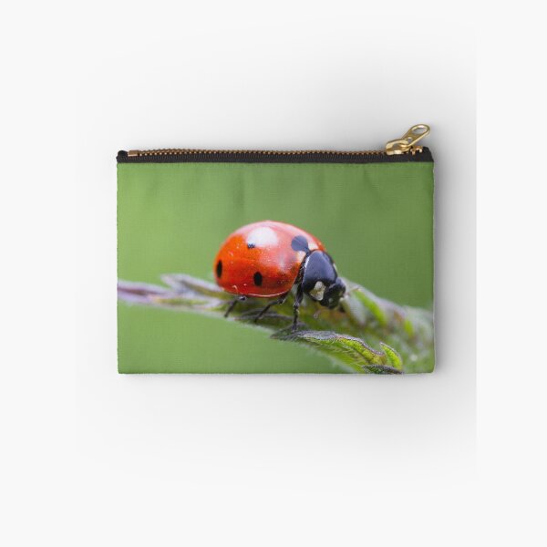 Item preview, Ladybug on nettle leaf designed and sold by BVNaturePhotos.