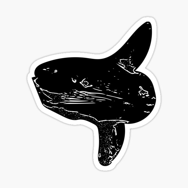 Vista previa del artículo con la obra «Mola Mola Ocean Sunfish Diseño Negro», diseñado y vendido por designsasstultd.