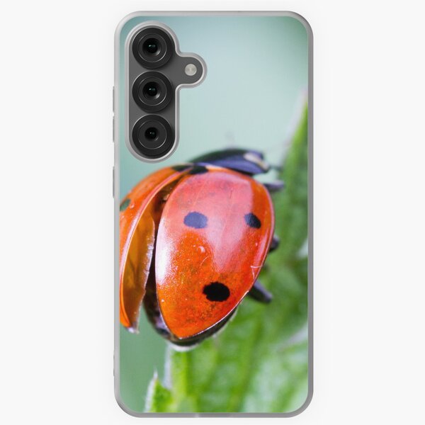 Item preview, Ladybug elytras on nettle leaf designed and sold by BVNaturePhotos.