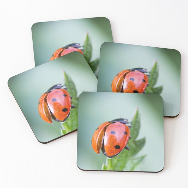 Item preview, Ladybug elytras on nettle leaf designed and sold by BVNaturePhotos.
