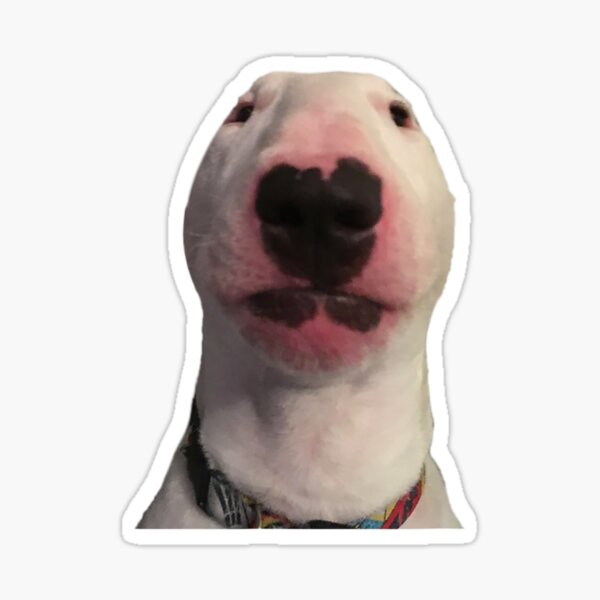 Item preview, Walter dog Meme designed and sold by Chanielshian.