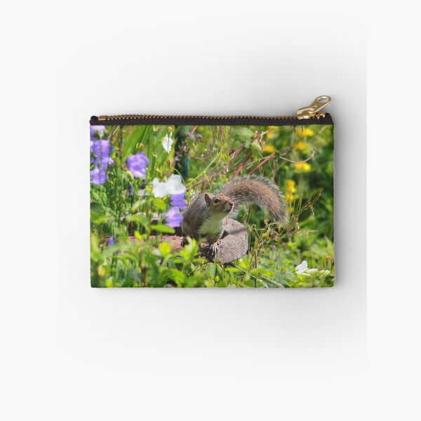 Aperçu de l'œuvre Grey squirrel on birdbath créée et vendue par turniptowers.