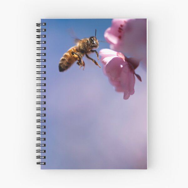 Item preview, Salir con amigos designed and sold by Sandy  Taylor Photography.