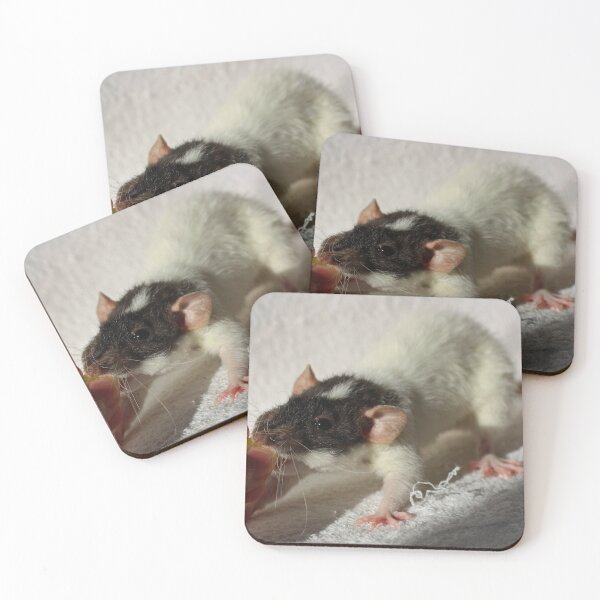 Item preview, Cute Rex Rat designed and sold by Asaha17.