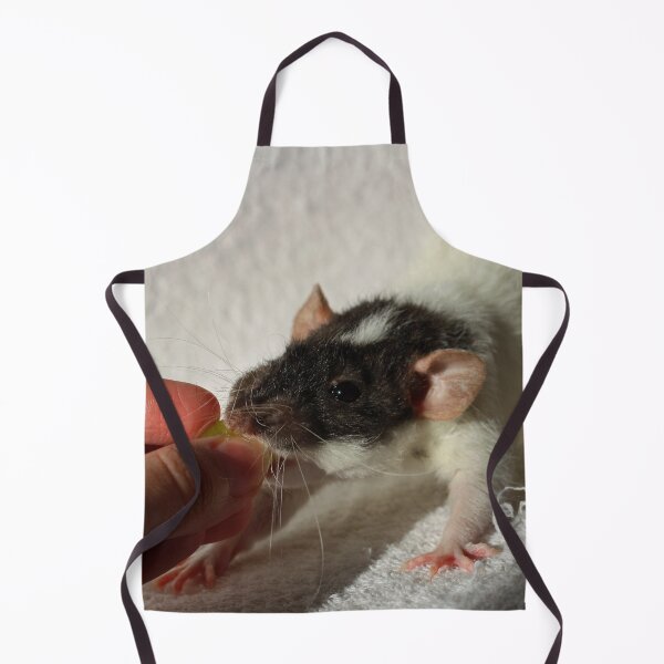 Item preview, Cute Rex Rat designed and sold by Asaha17.