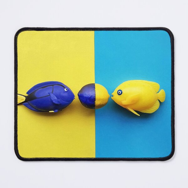 Item preview, Blue surgeon fish and yellow angel fish designed and sold by orangerinka.