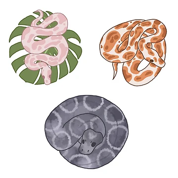 Artwork thumbnail, Ball Python Sticker Pack by bugrains