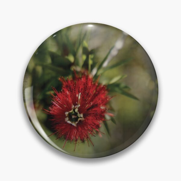 Item preview, Macro Shot of Bottlebrush Bloom on an artistic antique background with Border designed and sold by KbytesOfJax Outdoor and Nature.