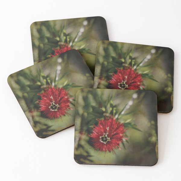 Item preview, Macro Shot of Bottlebrush Bloom on an artistic antique background with Border designed and sold by KbytesOfJax Outdoor and Nature.