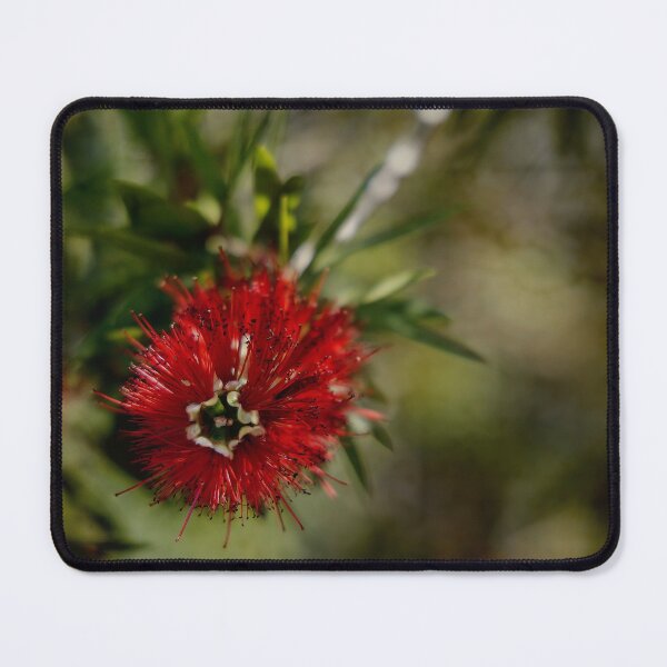 Item preview, Macro Shot of Bottlebrush Bloom on an artistic antique background with Border designed and sold by KbytesOfJax Outdoor and Nature.