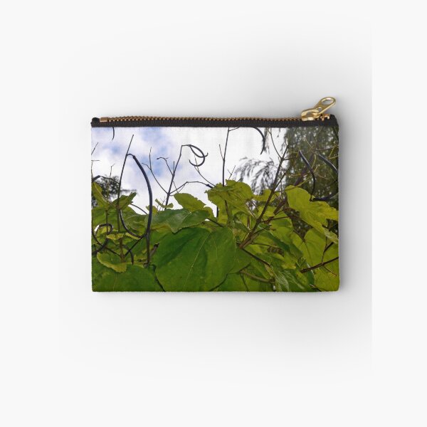 Artikelvorschau, Long Seed Pods on Tree...... entworfen und verkauft von lynn carter.