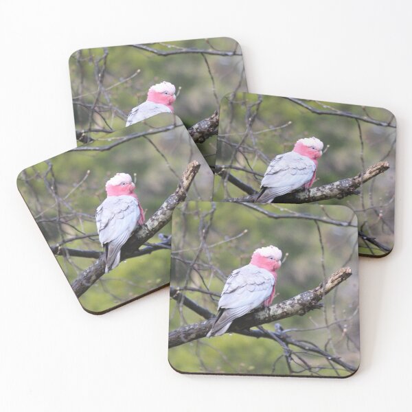 Item preview, Australian Galah designed and sold by CazEve.