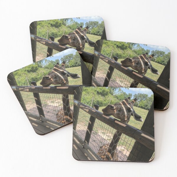 Item preview, zoo designed and sold by Shaylee2222.