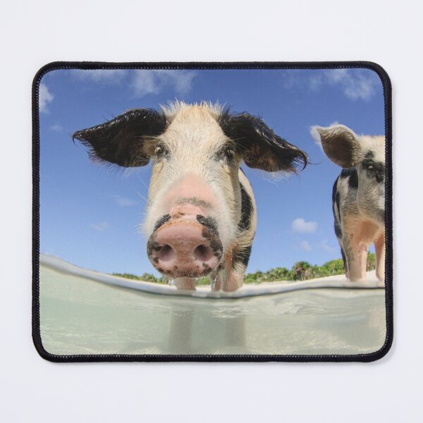 Item preview, Pigs on the Beach designed and sold by Caitlin Chock.