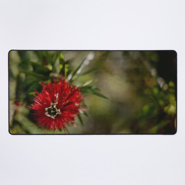 Item preview, Macro Shot of Bottlebrush Bloom on an artistic antique background with Border designed and sold by KbytesOfJax Outdoor and Nature.
