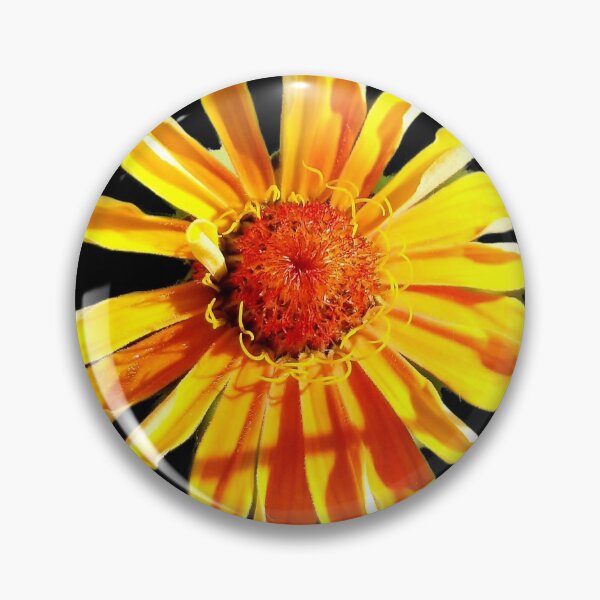 Item preview, Orange Zinnia  designed and sold by AmandaFaye99.