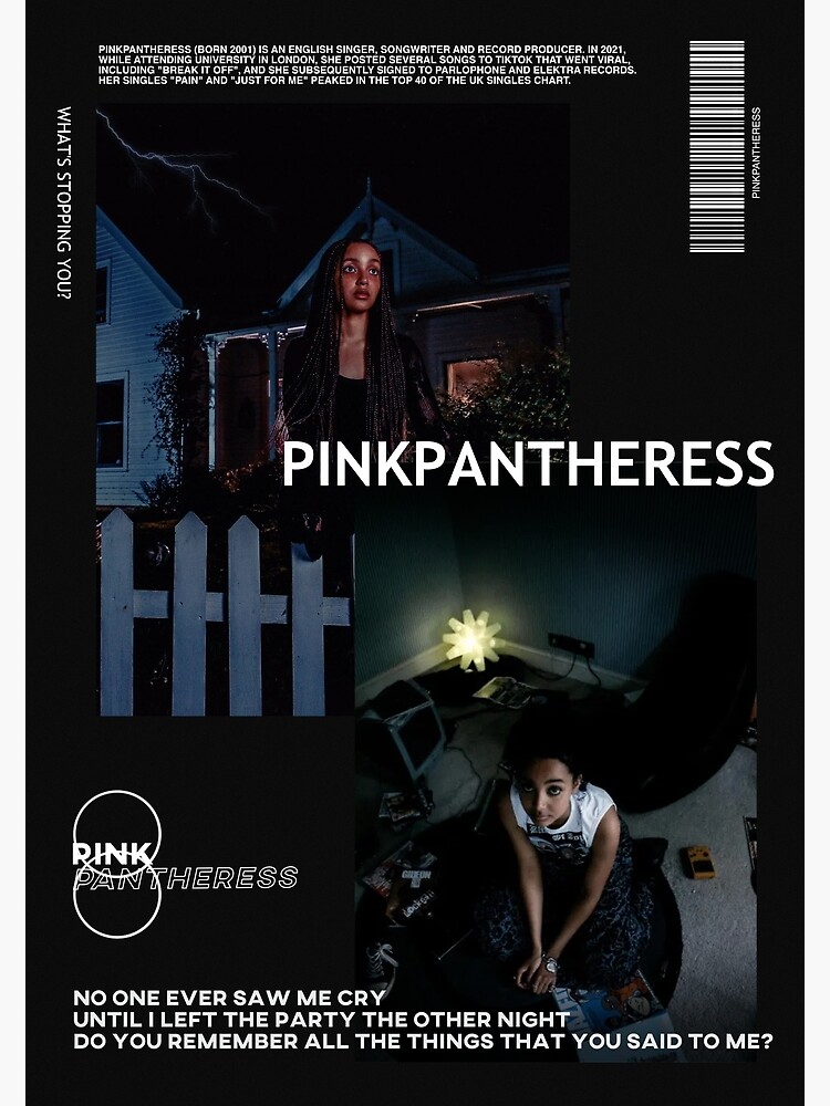 Pinkpantheress Posters Redbubble
