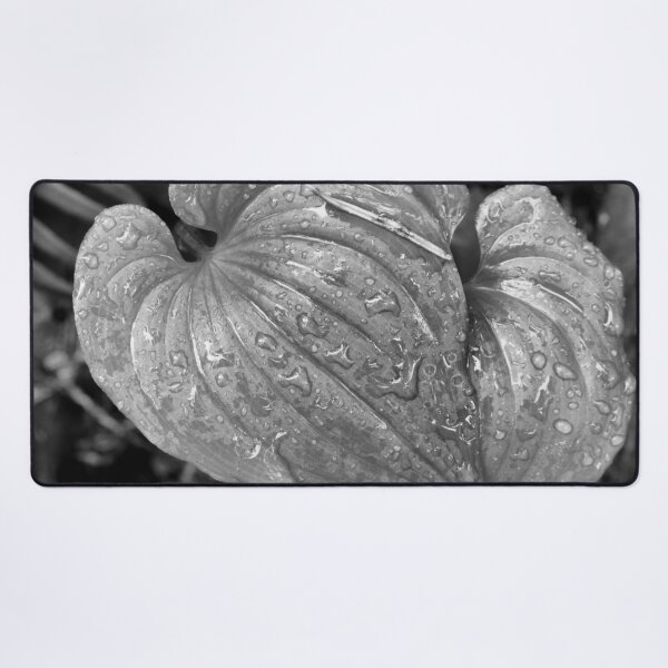 Rain on Lily of the Valley Desk Mat