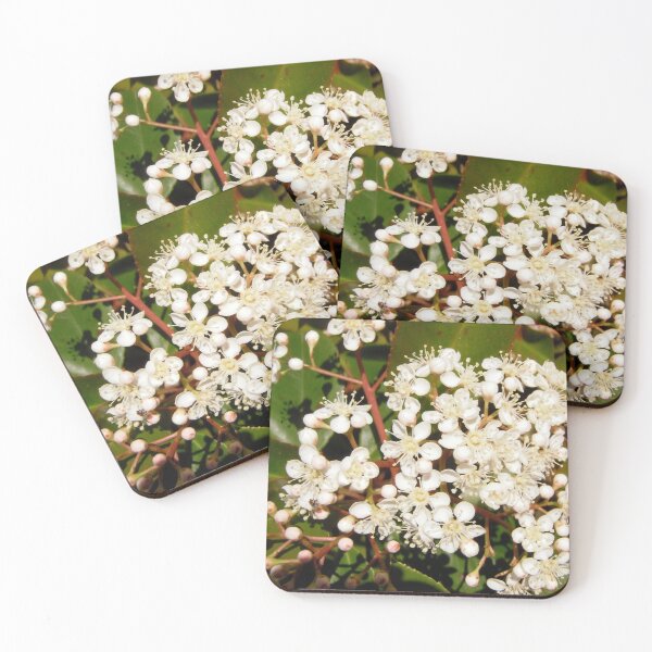 Item preview, White Flowers designed and sold by Shulie1.