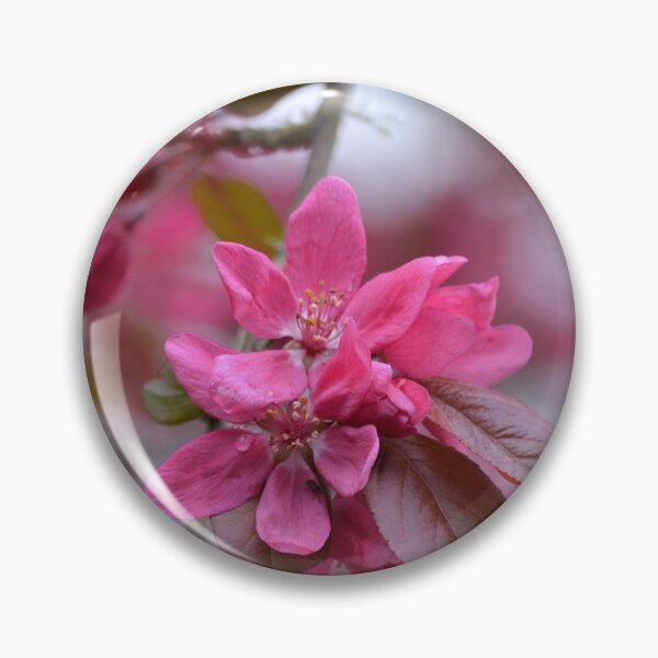 Item preview, Blossom at Mclaren falls designed and sold by lizdomett.