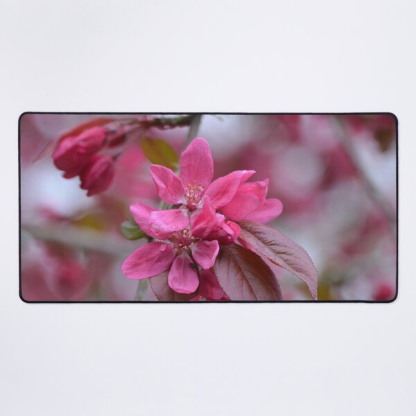 Item preview, Blossom at Mclaren falls designed and sold by lizdomett.
