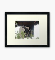 Cannon Framed Print