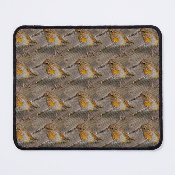 Item preview, Baby robins repeat print designed and sold by LittleBettyMakes.