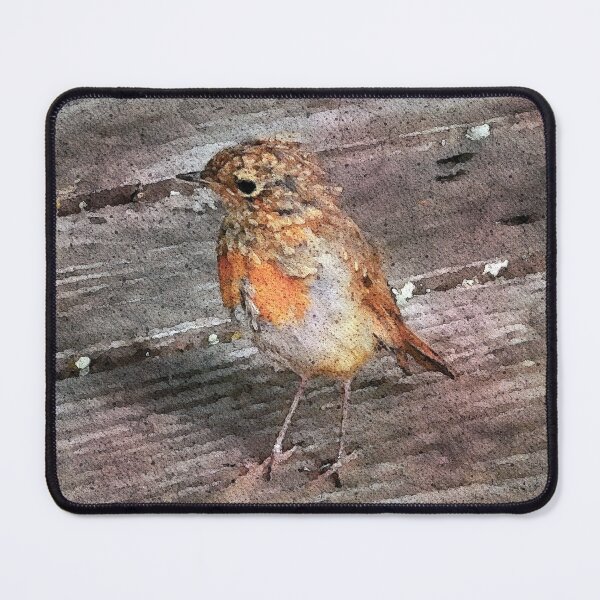 Item preview, Watercolor baby robin designed and sold by LittleBettyMakes.