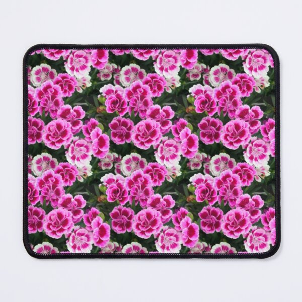 Item preview, Pink and white sweet william flowers designed and sold by LittleBettyMakes.