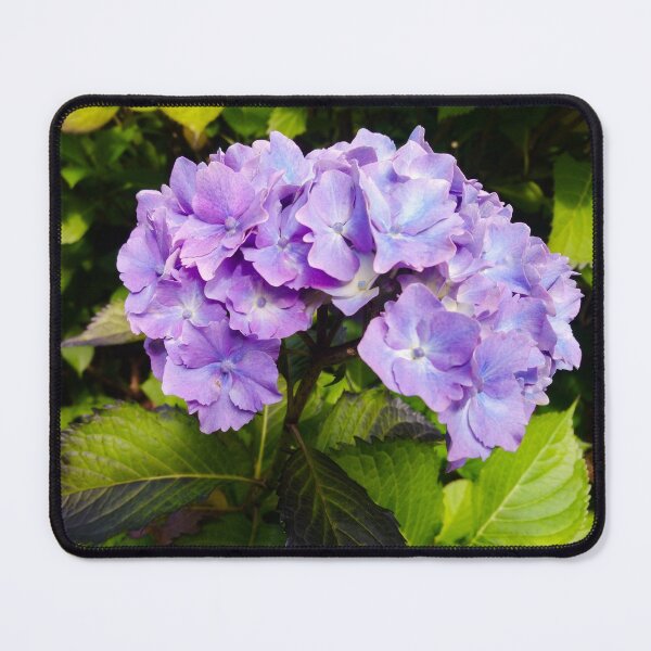 Item preview, Lilac purple hydrangea designed and sold by LittleBettyMakes.