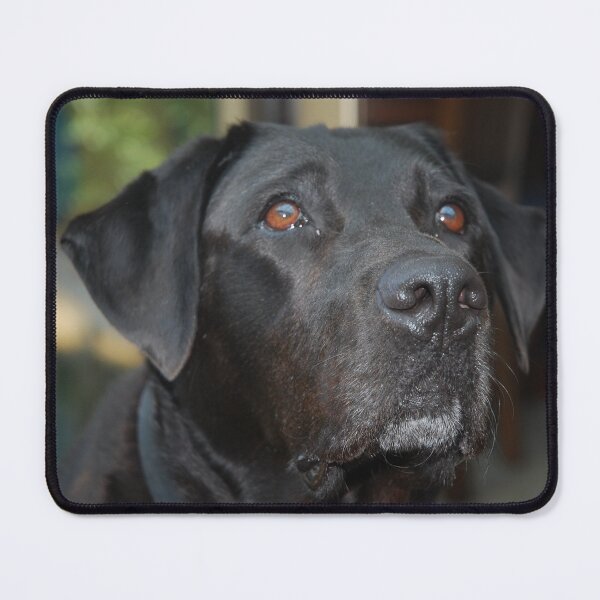 Item preview, Black Labrador Retriever designed and sold by lizdomett.