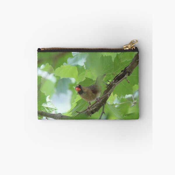 Item preview, Peek designed and sold by Bob Hardy.
