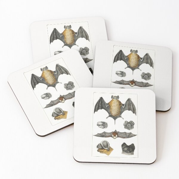 Item preview, Anatomical Drawings of Bats designed and sold by FP-Studios.