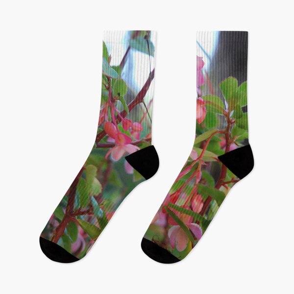 Item preview, Begonia designed and sold by lizdomett.