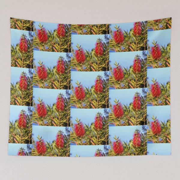 Item preview, Bottlebrush Callistemon designed and sold by Henrik Lehnerer.