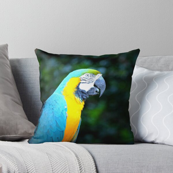 Artikelvorschau, Macaw  entworfen und verkauft von SoftHope.