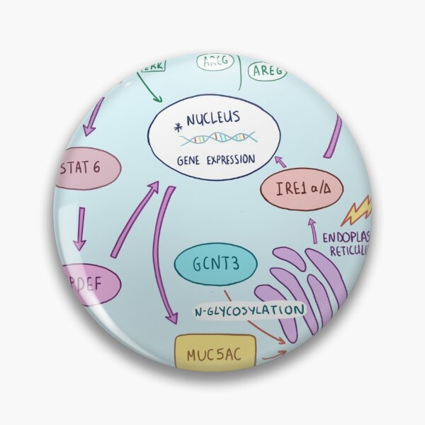 Item preview, Biology cheat sheet designed and sold by Anilokin.
