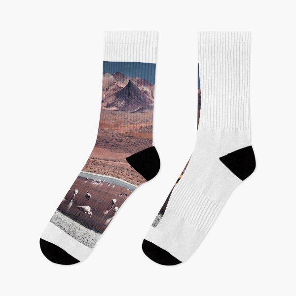 Item preview, Bolivian highland flamingos | Bolivia designed and sold by photofelix-.