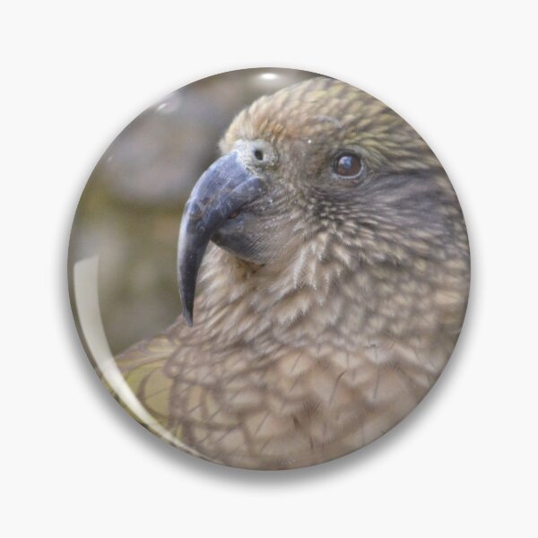 Item preview, Kea- New Zealand designed and sold by lizdomett.