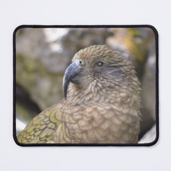 Item preview, Kea- New Zealand designed and sold by lizdomett.