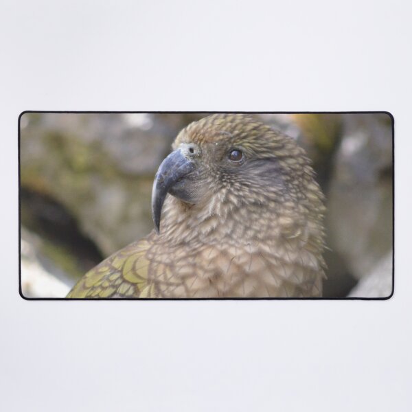 Item preview, Kea- New Zealand designed and sold by lizdomett.