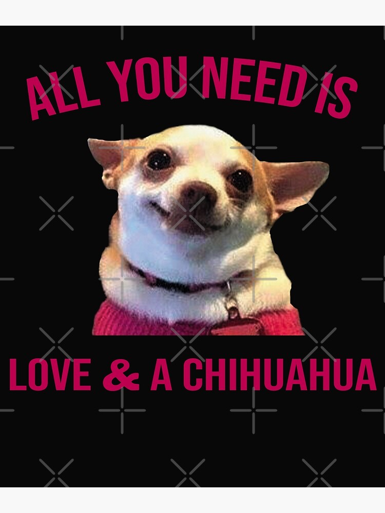 Joyriza All You Need is Love and A Dog – Funny Gifts for Dog