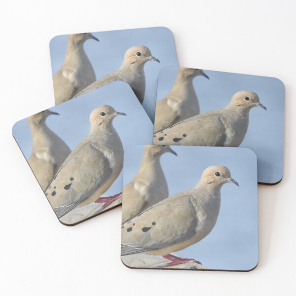 Item preview, Birds on Deck designed and sold by EnchantedxPhoto.