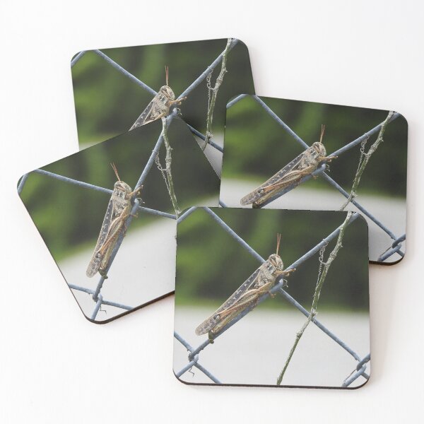 Item preview, Locust on Fence designed and sold by EnchantedxPhoto.