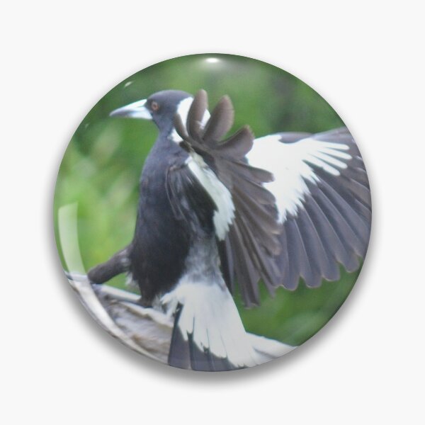 Item preview, Don't over balance- NZ, AUS Birds designed and sold by lizdomett.