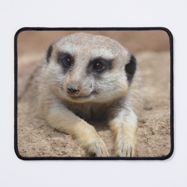 Item preview, Had a hard day- Meerkat designed and sold by lizdomett.