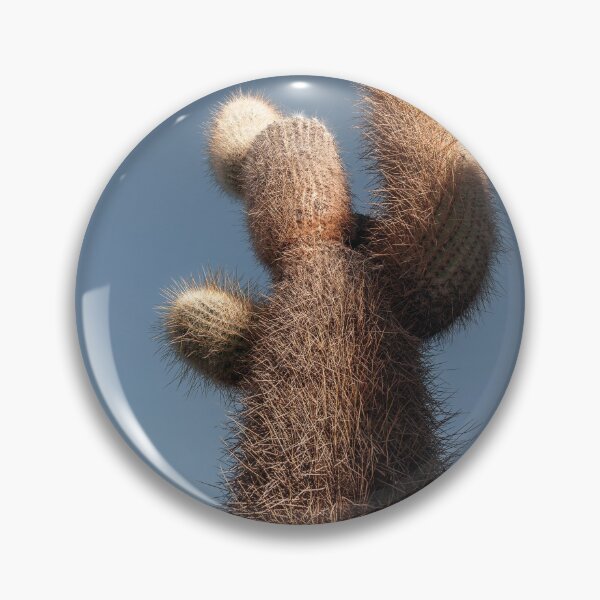 Item preview, Salar de Uyuni salt flats cactus | Bolivia designed and sold by photofelix-.