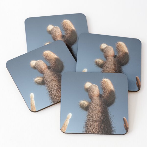 Item preview, Salar de Uyuni salt flats cactus | Bolivia designed and sold by photofelix-.